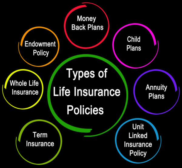 Common Life Insurance Policy Types Explained